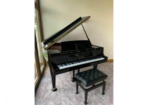 Yamaha Genos XXL Set / korg pa4x