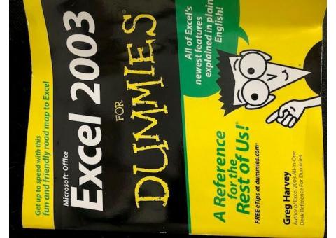 Excel 2003 for Dummies
