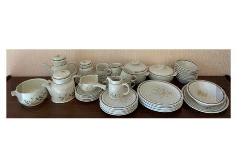 Royal Doulton - Will O' The Wisp Tableware Set