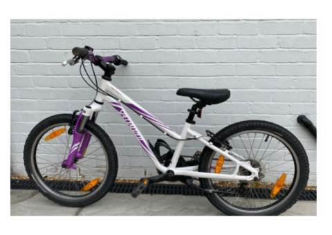 Specialized Hotrock 20 inch Kids Bicycle